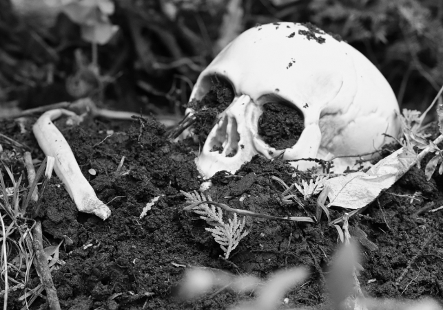 ekshumacje na wolyniu