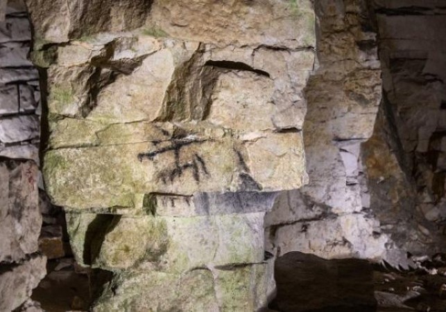 krzemionki opatowskie