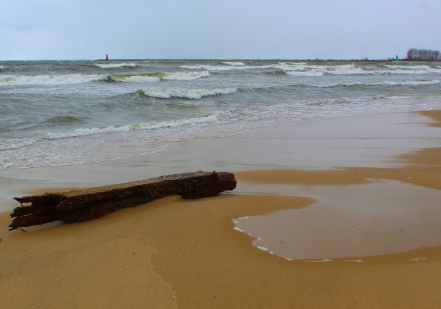 oczyszczanie baltyku