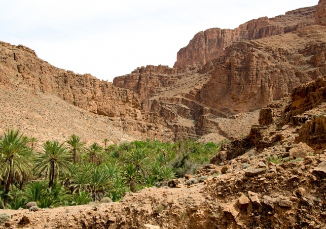 odkrycie lampy oliwnej