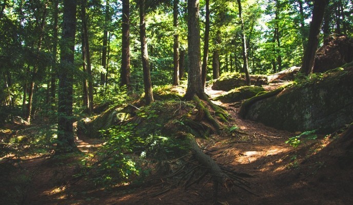 POwstanie Styczniowe