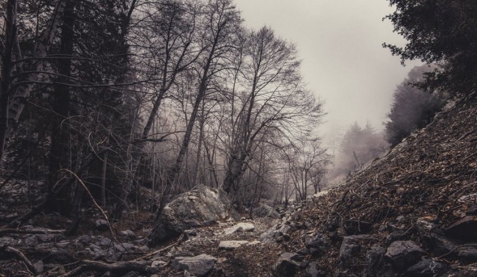 pexels-photo-428396_zmien rozmiary