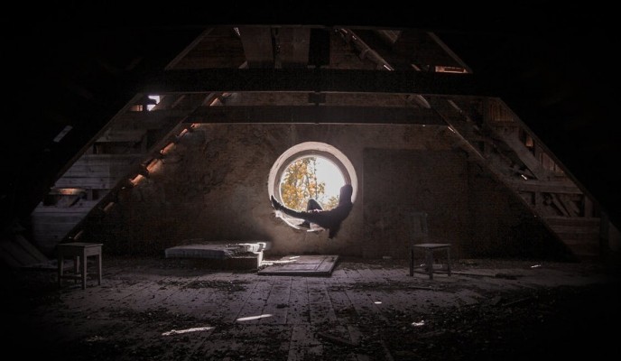 pexels-photo-4655819