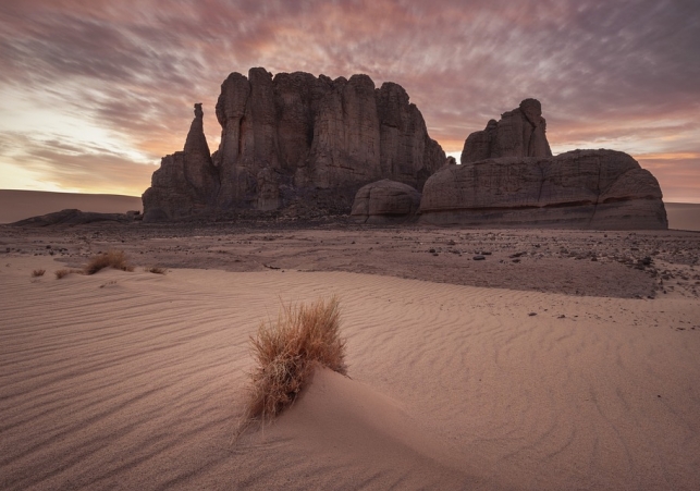 rysunki naskalne na saharze