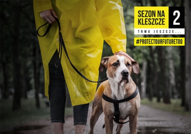 sezon na kleszcze 