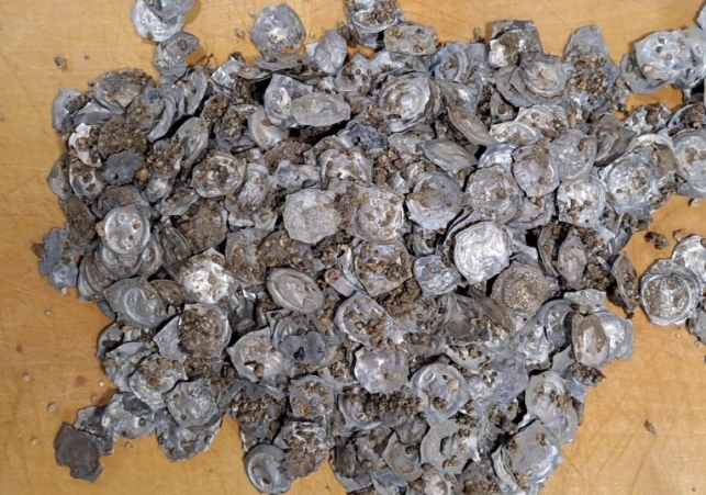 skarb monet z niemiec