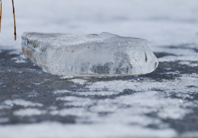 kosciana lyzwa z czech