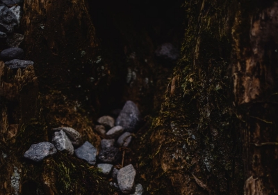 neandertalczyk
