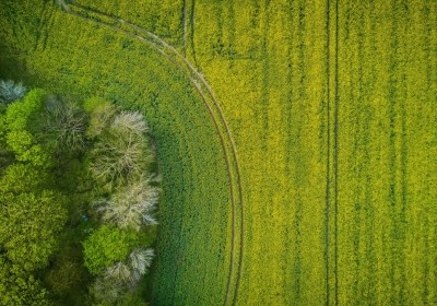 grobowce megalityczne