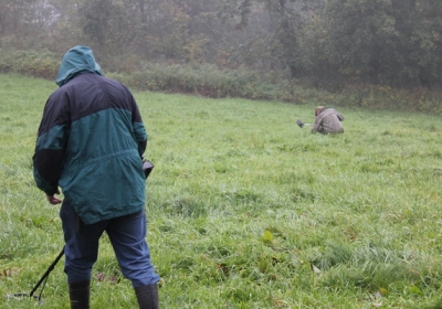 poszukiwanie skarbow w norfolk