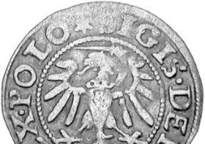 zygmunt stary monety
